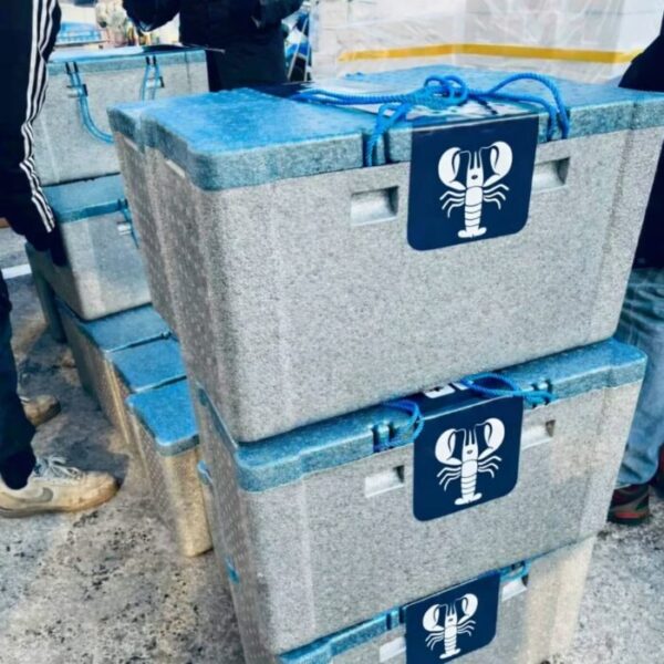 An exceptional gift box featuring premium lobster and abalone – incredible value!